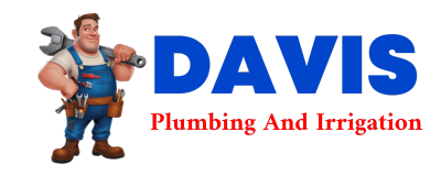 Trusted plumber in CHEMUNG